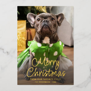 Carte De Vœux En Aluminium Photo de Noël drôle d'animal Famille Joyeux Noël