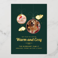 Photos pour animaux de compagnie Noël
