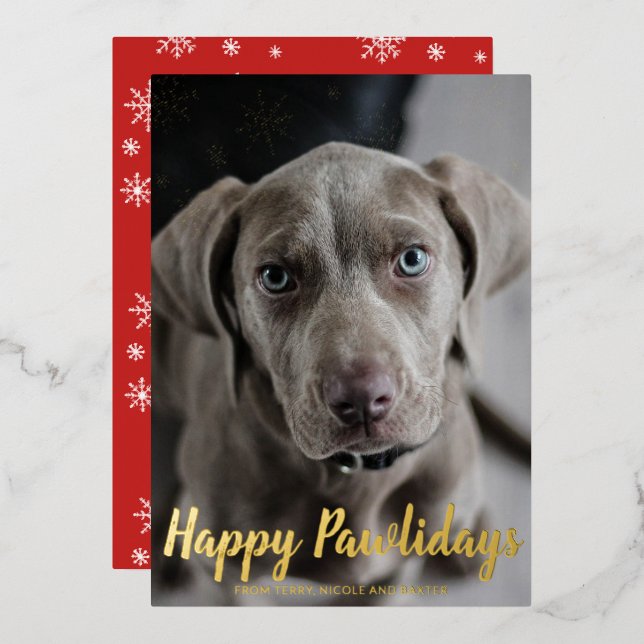 Carte De Vœux En Aluminium Snowflakes Happy Pawlidays Chien Photo Noël (Recto/Verso)
