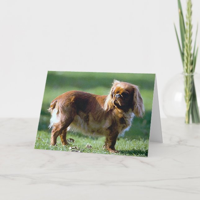 Carte de voeux en blanc de chien espagnol de jouet (Devant)