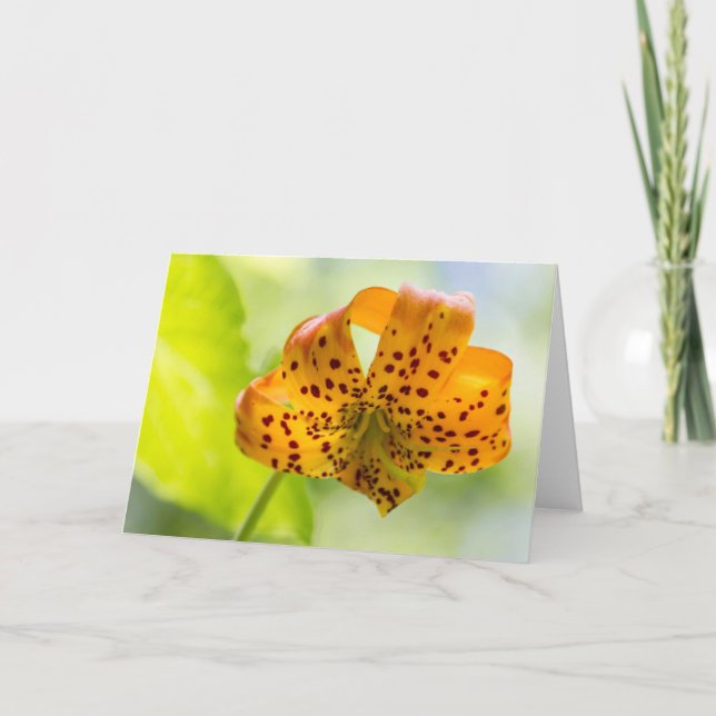 Carte de voeux en blanc Lily Tiger éclairé (Devant)
