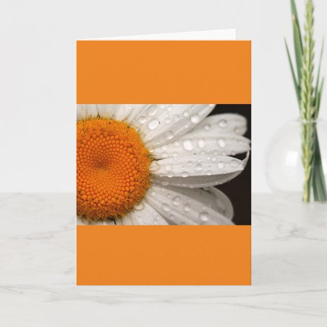 Carte de voeux en blanc plié (Devant)