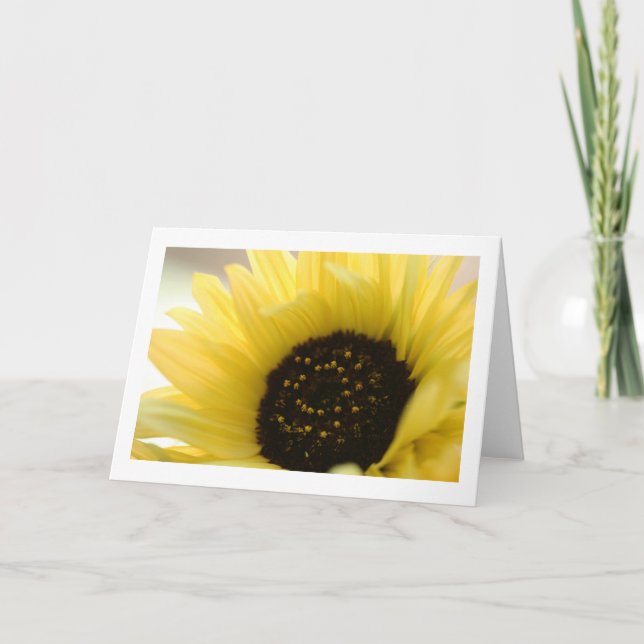 Carte de voeux en blanc plié de tournesol (Devant)