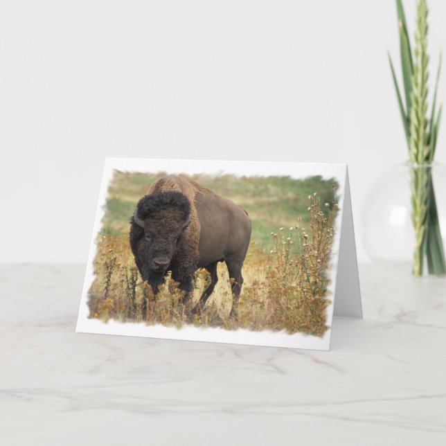 Carte de voeux en bois de bison (Devant)