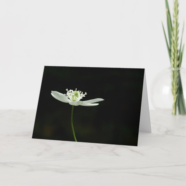 Carte de voeux en bois de fleur sauvage d'Anenome (Devant)
