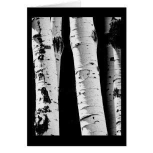 Carte de voeux en noir et blanc Aspen Arbres