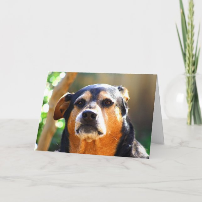 Carte de voeux ensoleillée de Sinistre-visage (Devant)