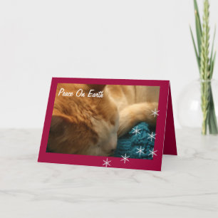 Carte de voeux : Éphésiens de Noël Nap Chat