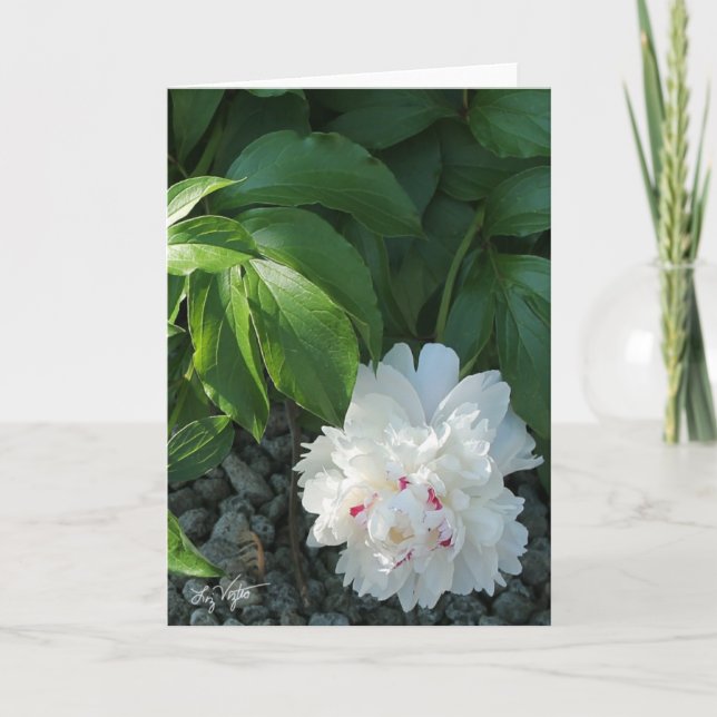 Carte de voeux et/ou de note blanc Peony Preciy (Devant)