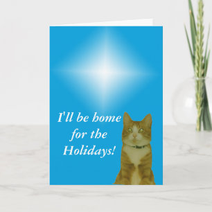 Carte de vœux - Étoile de Noël et chat