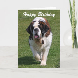 Cadeaux Bernard De Joyeux Anniversaire Zazzle Fr