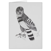 Carte de voeux Falcon