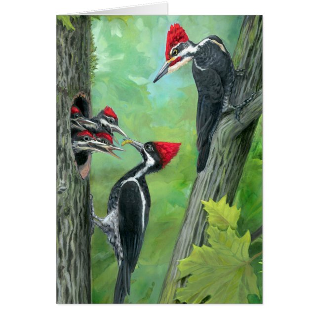 Carte de vœux famille de pics forêt rouge (Devant)