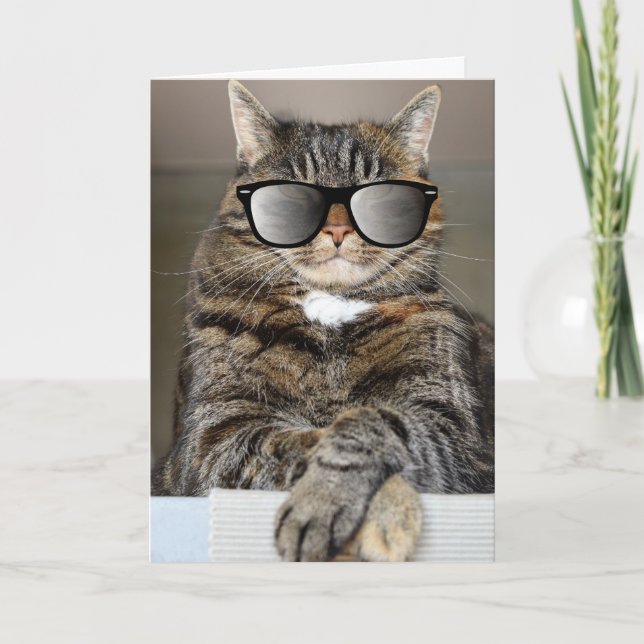 CARTE DE VOEUX FÊTE DES PÈRES CHAT (Devant)