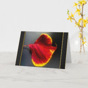 Carte de vœux Feuilles d'automne