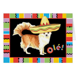 Carte de voeux Fiesta Long Coat Chihuahua