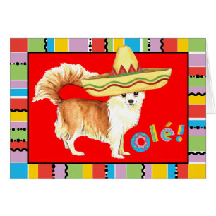 Carte de voeux Fiesta Long Coat Chihuahua