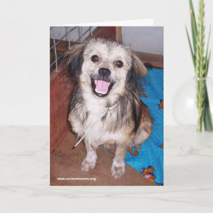 Carte de voeux Flash Jumping Jack