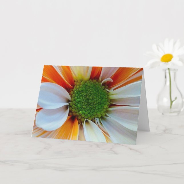 Carte de vœux fleur (Petite plante)