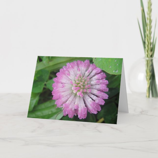 Carte de voeux fleur de trèfle rose avec gouttes d (Devant)