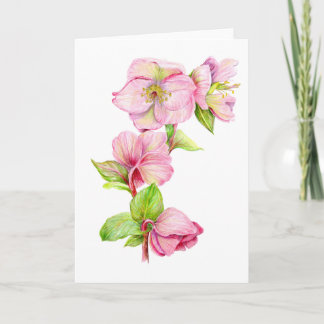 Carte de vœux - Fleur d'hellébore rose