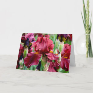 Carte de vœux fleur d'iris bourguignon (intérieur 
