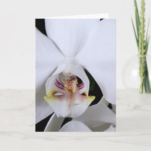 Carte de vœux fleur d'orchidée blanche