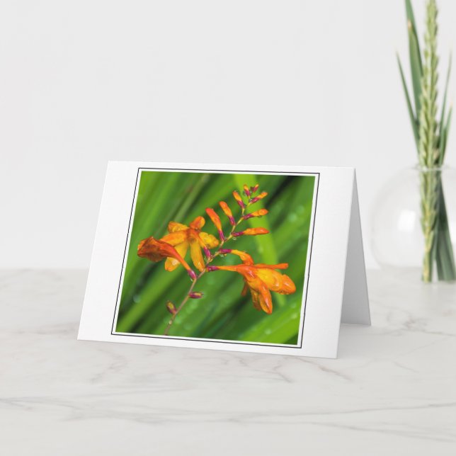 Carte de voeux Fleur orange humide (Devant)