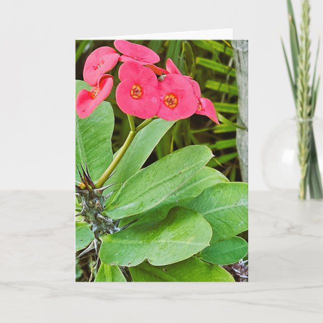 Carte de vœux fleur rose (Devant)