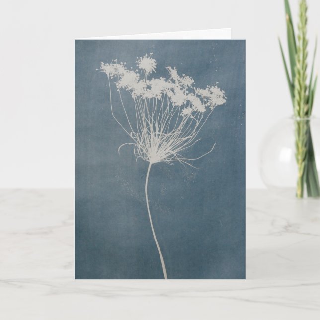 Carte de vœux Fleur Vierge à l'intérieur  (Devant)