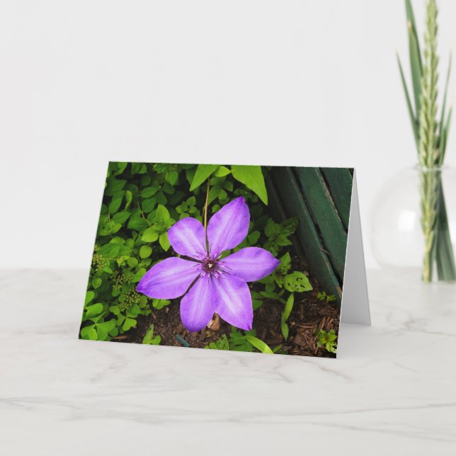 Carte de vœux fleur violette (Devant)