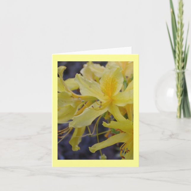 Carte de voeux fleurie Azalea jaune (Devant)