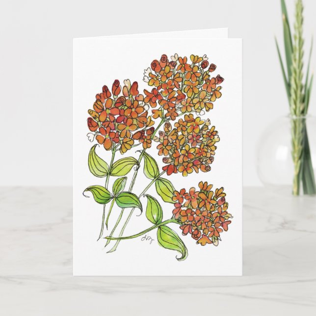 Carte de vœux - Fleurs papillon orange et jaune (Devant)
