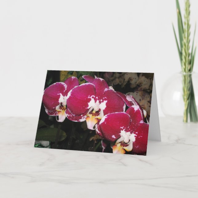 Carte de voeux Floral (Devant)