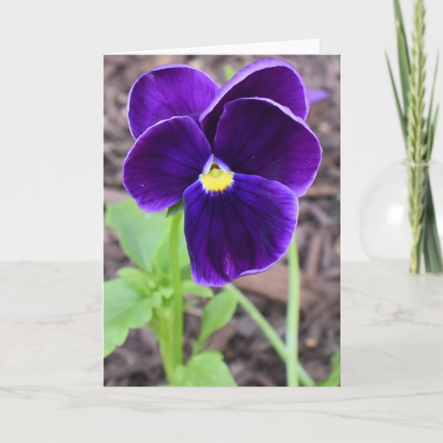Carte de voeux Floral (Devant)
