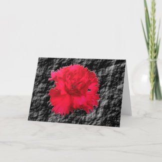 Carte de voeux Floral Imaginaire Red Carnation
