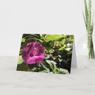 Carte de vœux florale