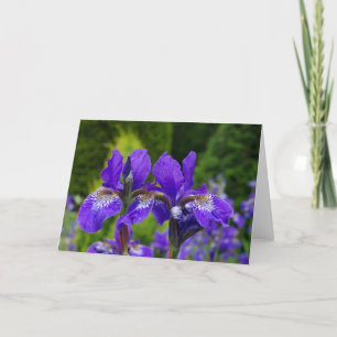Carte de voeux florale, intérieur vide
