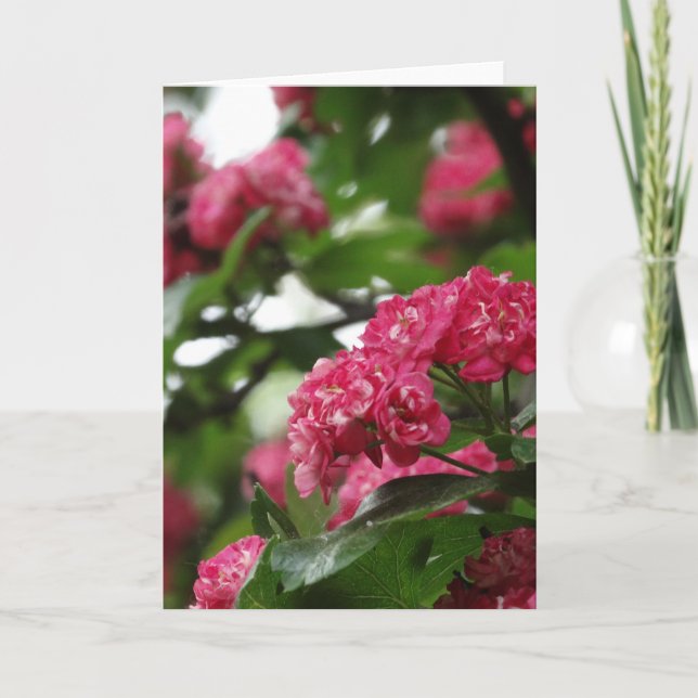 Carte de voeux florale, Standard (Devant)