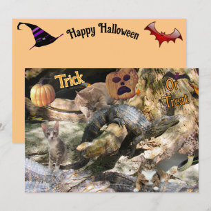 Carte de vœux Florida Chat et Gator Flat