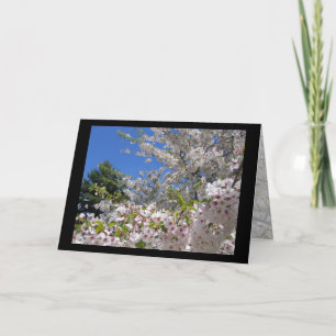 Carte de voeux Flower Cherry Trees