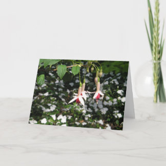 Carte de voeux Flowers en chute