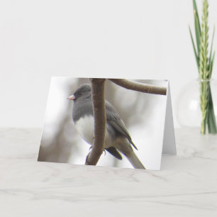 carte de voeux Foncé-eyed de Junco
