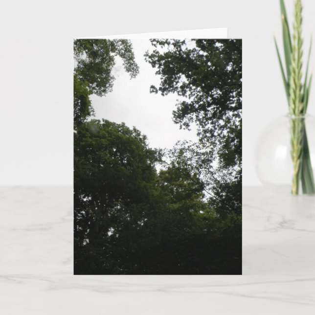 Carte de voeux Forêt déplaisante (Devant)
