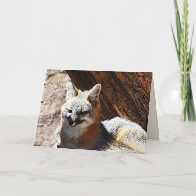 Carte de voeux Foxy, vide (Devant)