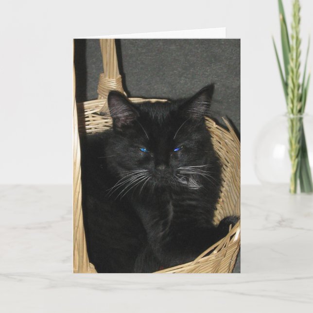 Carte de voeux franche de chatons (Devant)