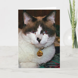 Carte de voeux Frank