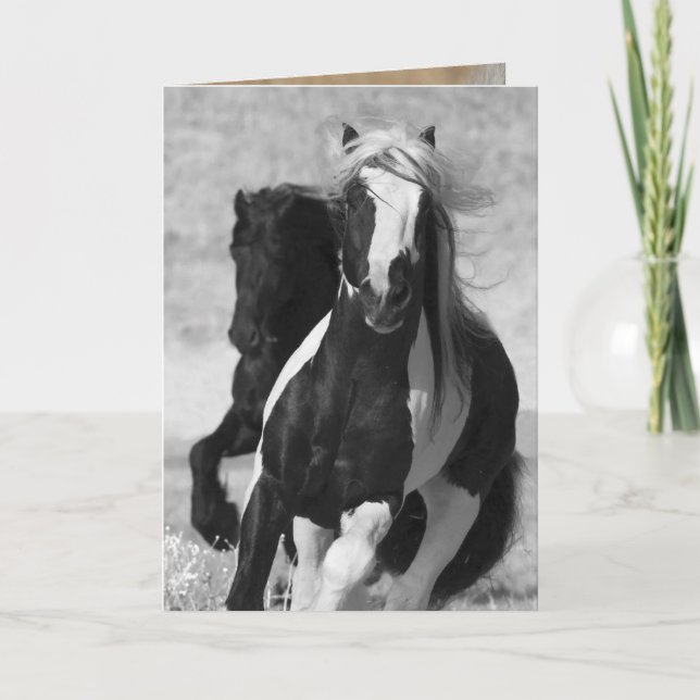 Carte de voeux Friesian and Gypsy Run Horse (Devant)