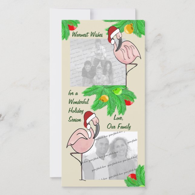 Carte de voeux gaie de photo de flamants (Devant)
