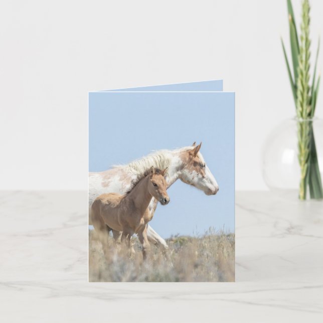 Carte de voeux Galetea et Foal Wild Horse (Devant)